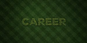 career in sustainability