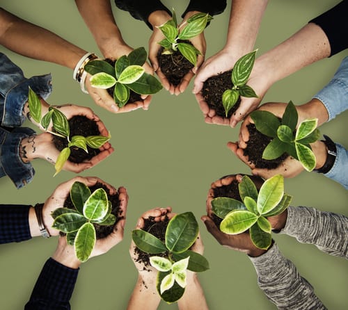 online masters in sustainability