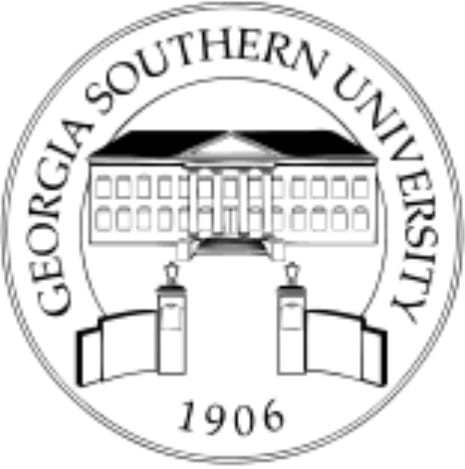 georgia southern university