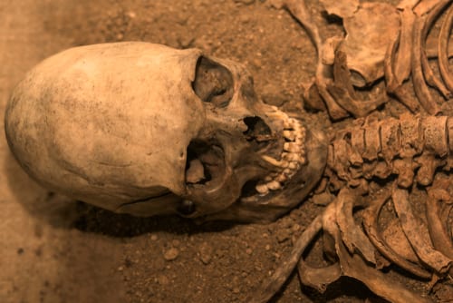 anthropology degree programs