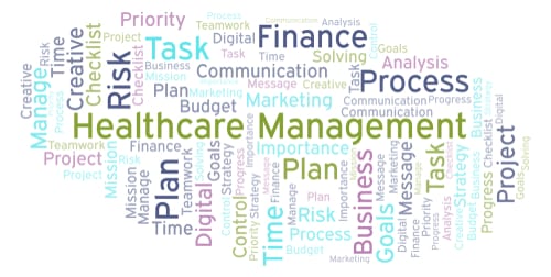 healthcare management