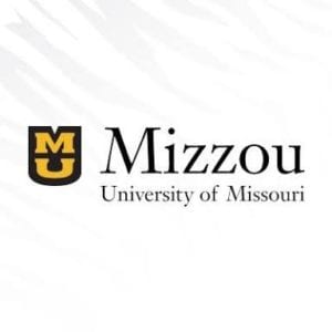 univmissouri-early childhood education