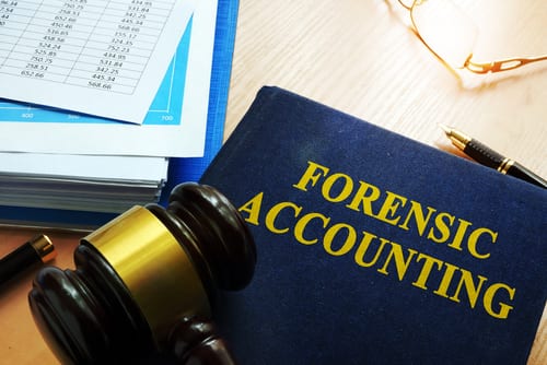 forensic accountant