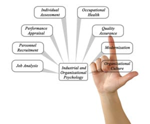 industrial organizational psychologists