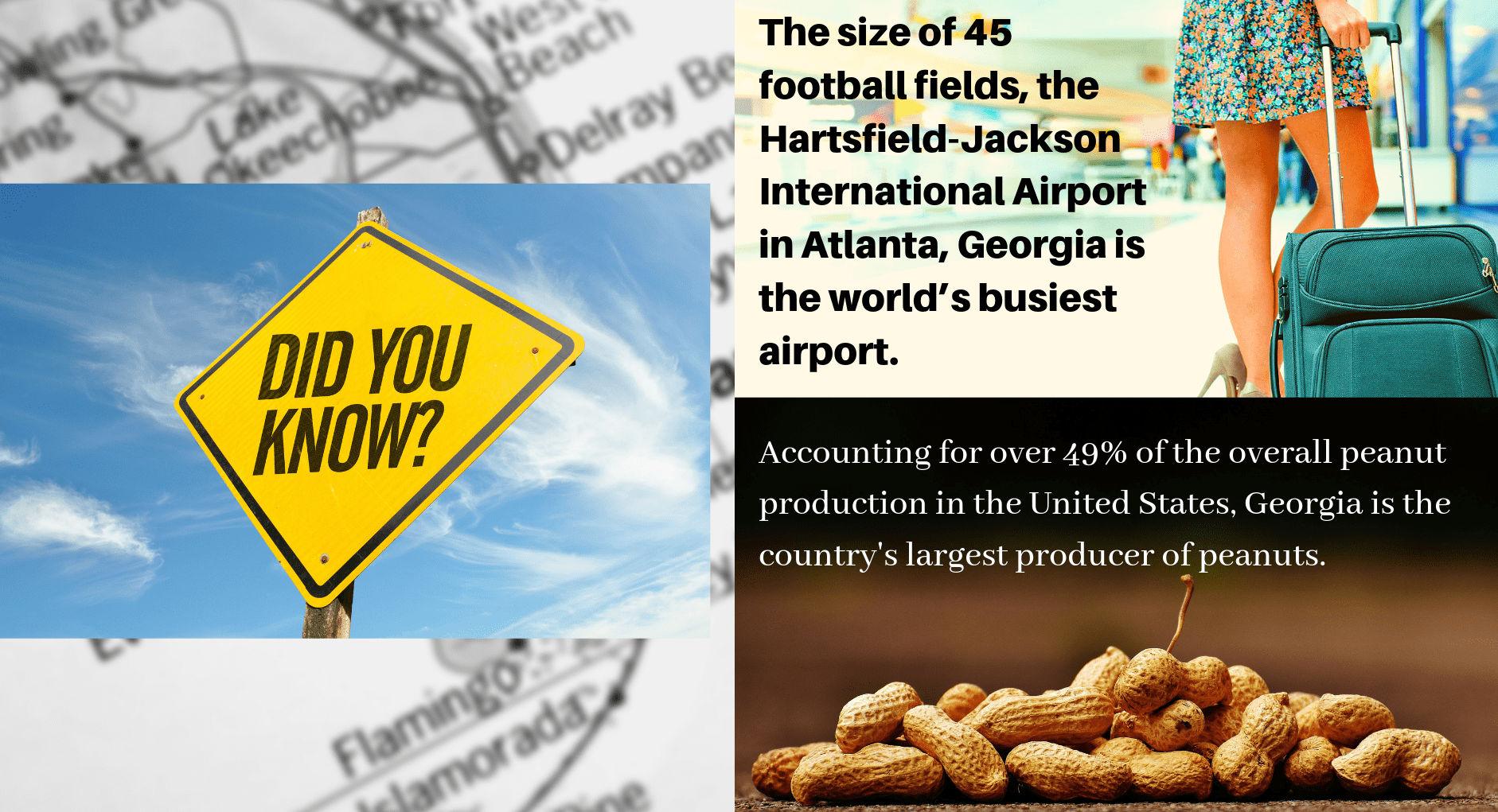 georgia fun facts
