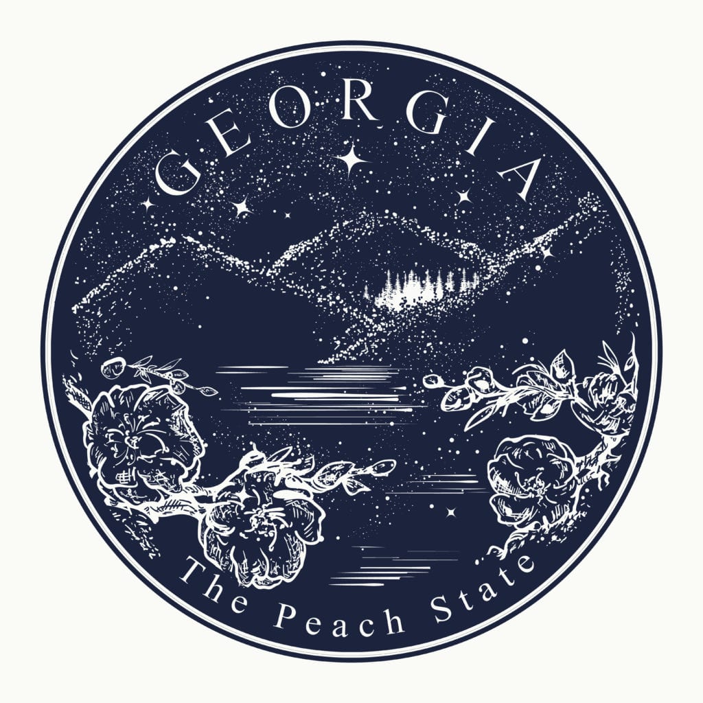 best schools college value roi georgia
