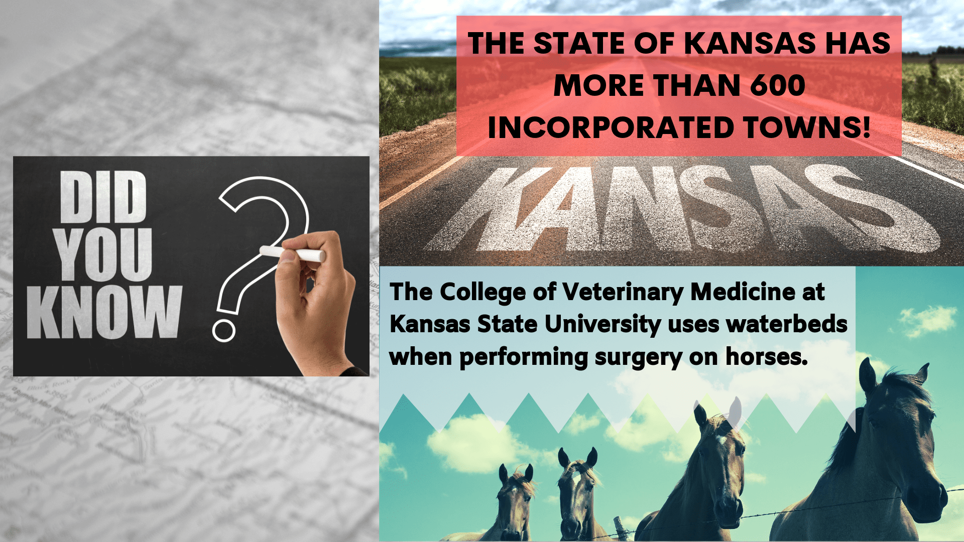 Top Online Colleges and Best Value Schools (ROI) in Kansas