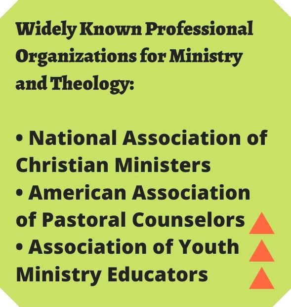 professional ministry organizations