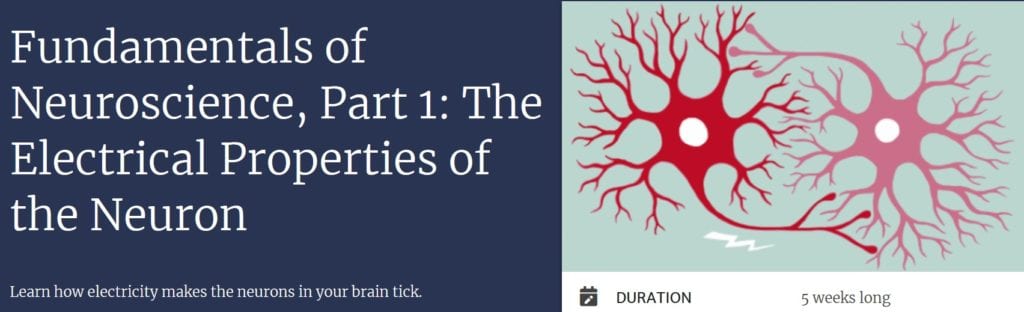 Fundamentals of Neuroscience, Part 1-The Electrical Properties of the Neuron