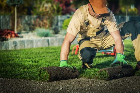 Professional Landscaper Job. Caucasian Pro Gardener Installing New Rolls of Natural Grass Turfs.